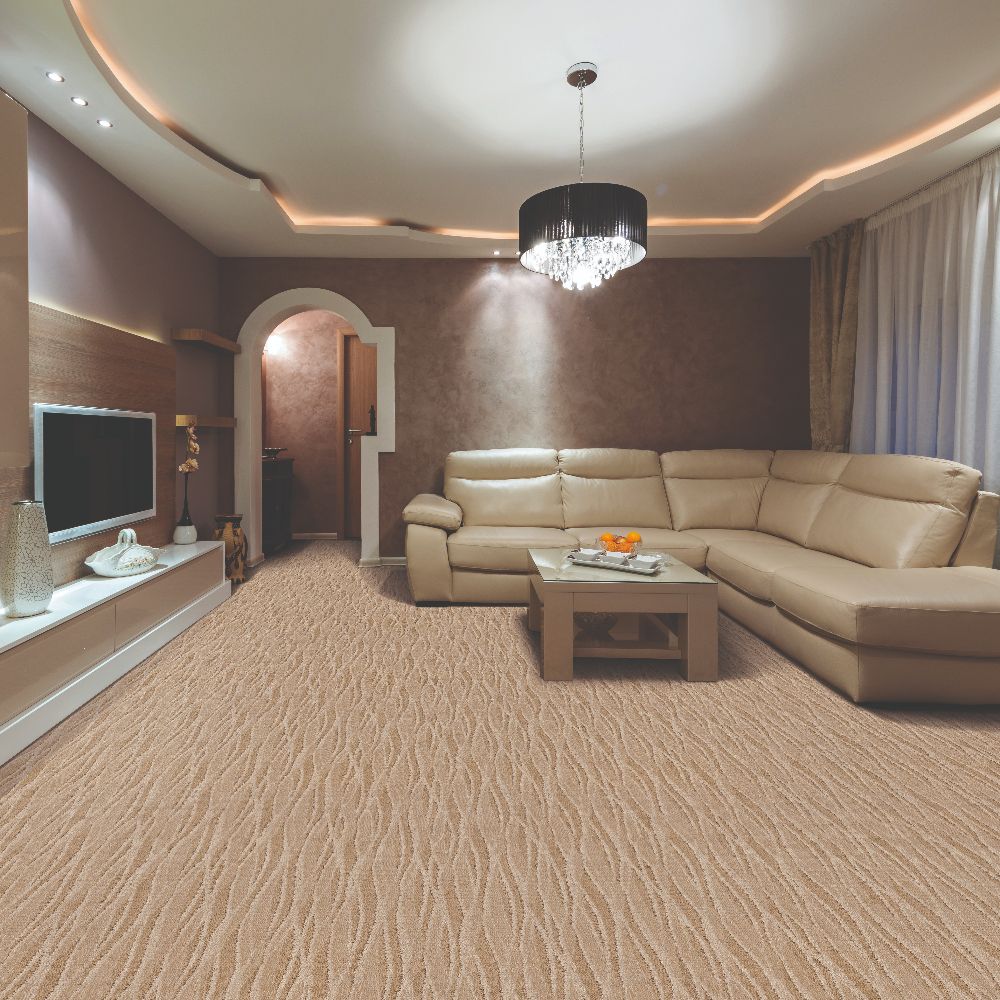 Elegant Carpet