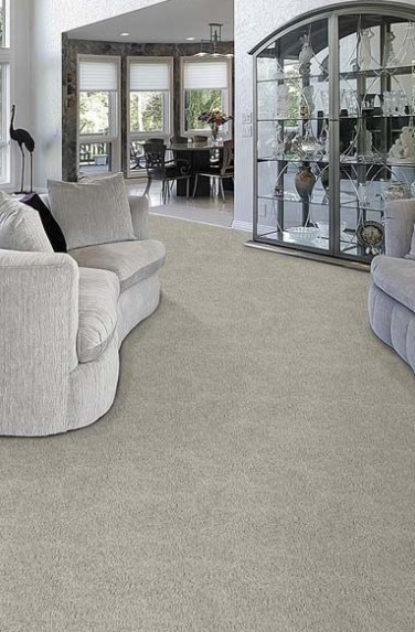 Carpets best interior furnishing tool